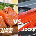 Sockeye Salmon vs Atlantic Salmon: The Differences in Taste, Nutrition, and Habitat sockeye salmon vs atlantic salmon