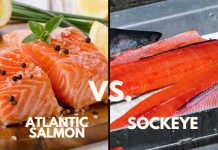 Sockeye Salmon vs Atlantic Salmon: The Differences in Taste, Nutrition, and Habitat sockeye salmon vs atlantic salmon
