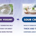 Sour Cream vs Greek Yogurt the Creamy Showdown sour cream vs greek yogurt