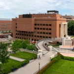 The University of Minnesota Acceptance Rate university of minnesota acceptance rate
