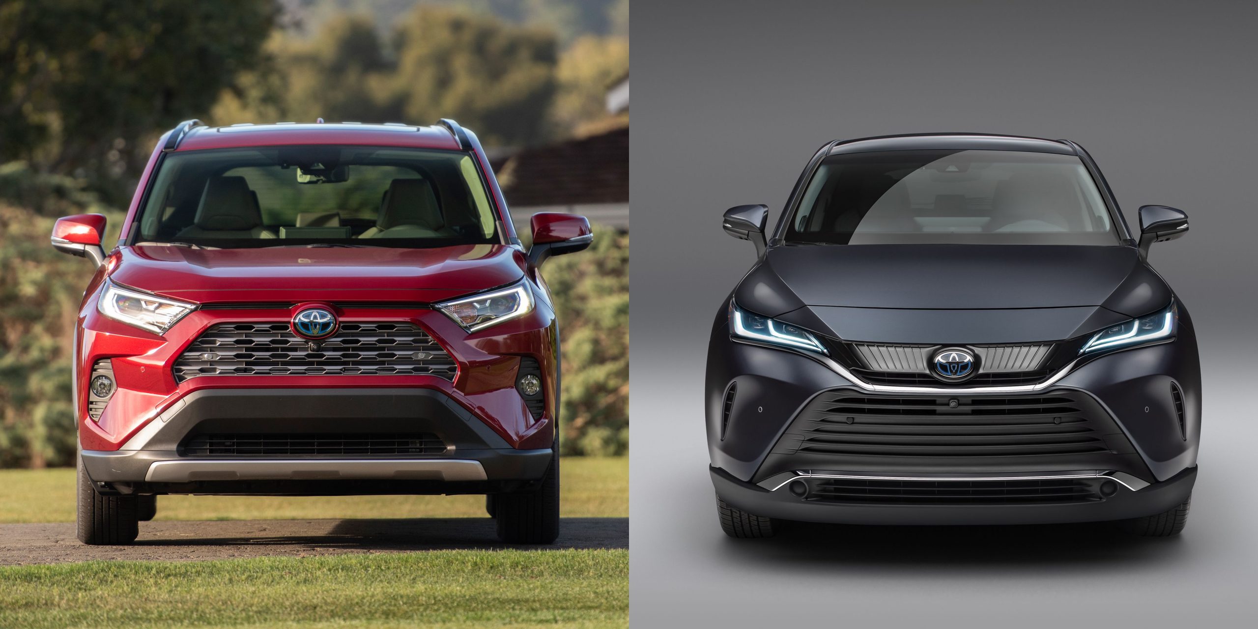 venza vs rav4