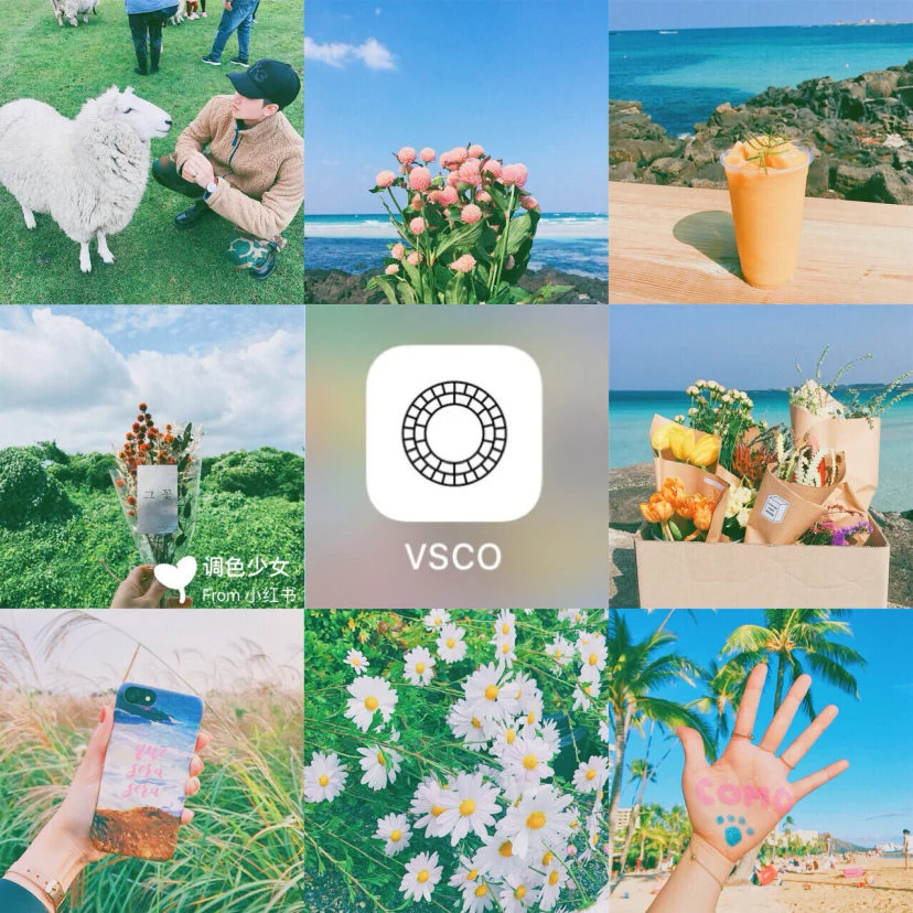 vsco filters