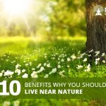 10 Astonishing Benefits of Nature, Boost Your Well-being & Connect with Mother Earth 10 benefits of nature