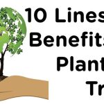 The Green Guardians, 10 Benefits of Trees for a Sustainable World 10 benefits of trees
