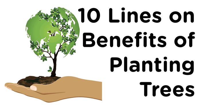 10 benefits of trees