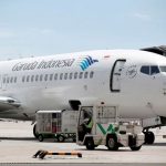 Boeing 737-800 NG makes first commercial flight using palm oil fuel in Indonesia Boeing 737-800 NG