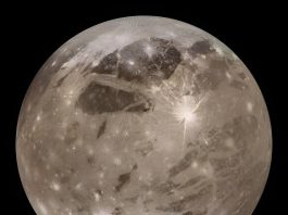 JWST space telescope