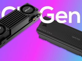 PNY CS3150 and Corsair MP700 Pro