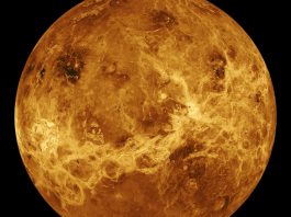 Venus