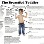 Beyond the First Year, Incredible Benefits of Breastfeeding benefit of breastfeeding after 1 year