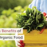 Fuel Your Body Right, Incredible Benefits of Food benefit of food