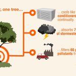 The Green Guardians, Multifaceted Benefit of Trees benefit of trees