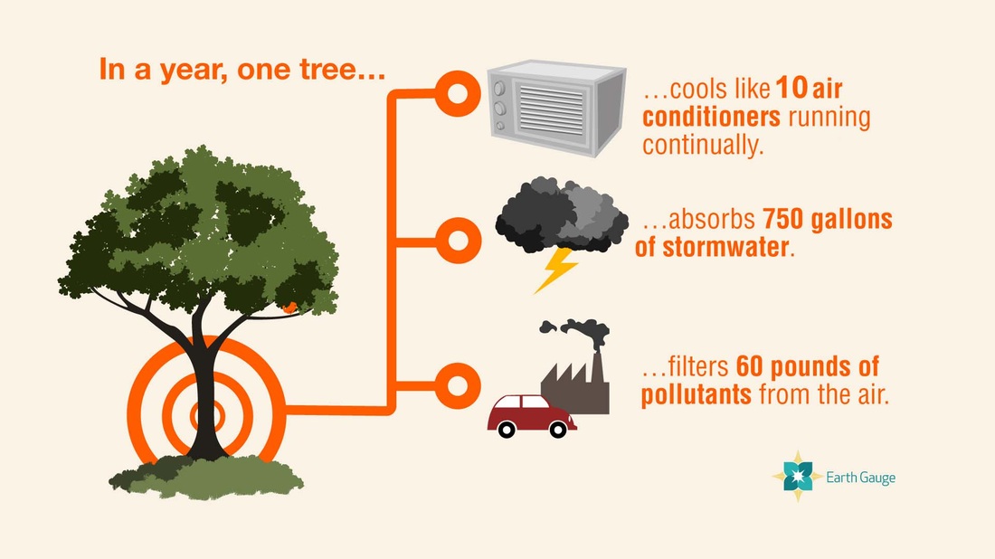 benefit of trees