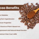 The Remarkable Benefits of 100% Cacao, A Chocolate Lover’s Dream benefits of 100 cacao