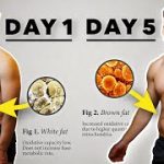Transform Your Health with a 5-Day Fast, Incredible Benefits benefits of 5 day fast