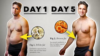 benefits of 5 day fast