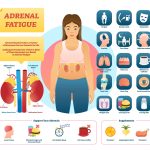 Your Energy, Astonishing Benefits of Adrenal Support benefits of adrenal support