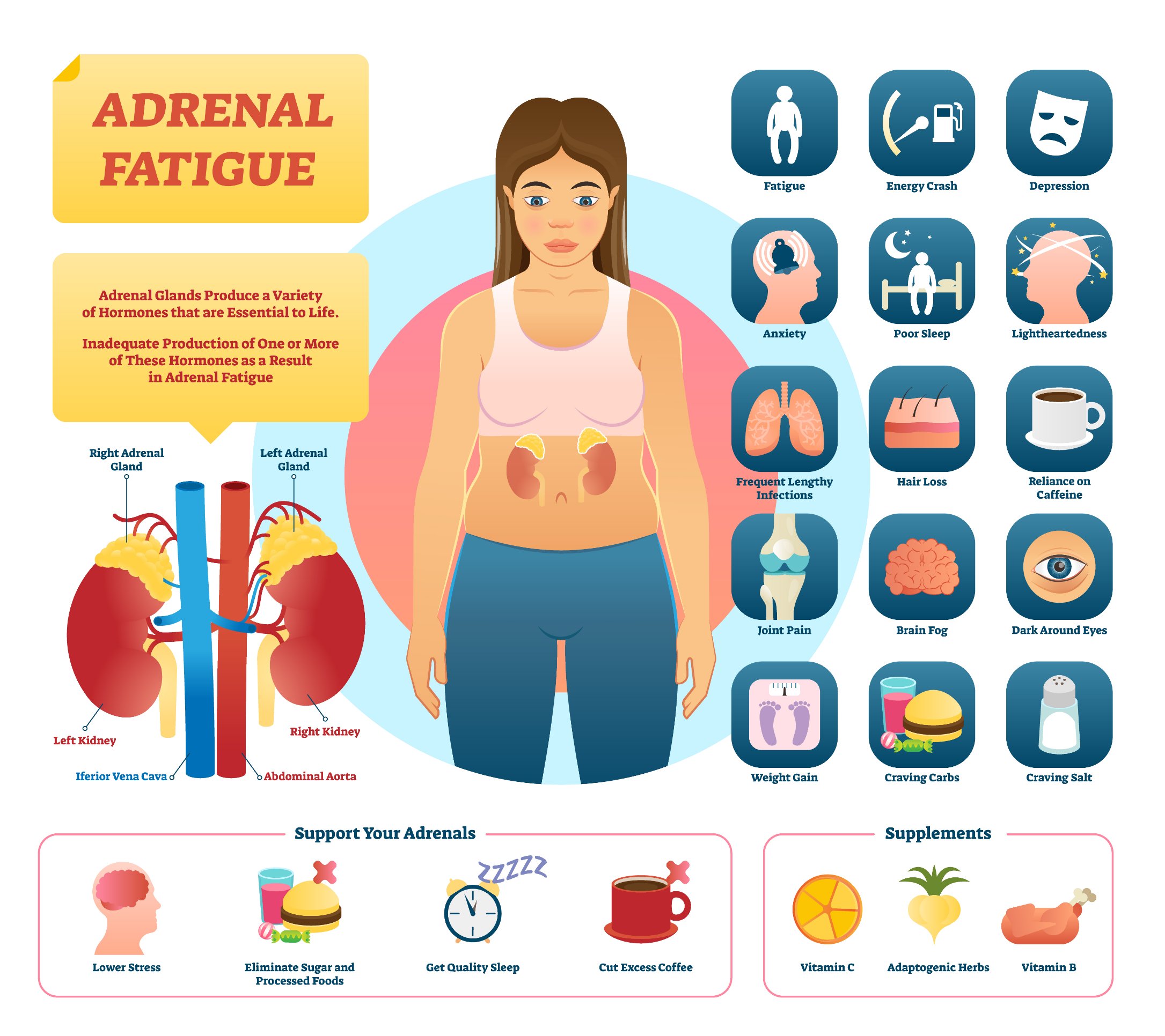 benefits of adrenal support