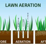 The Hidden Potential, Remarkable Benefits of Aeration benefits of aeration