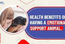 The Healing Power, Incredible Benefits of an Emotional Support Animal benefits of an emotional support animal