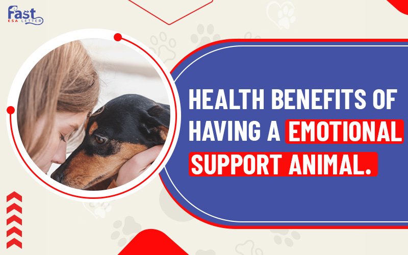 benefits of an emotional support animal