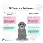 The Power of Emotional Support Animals, Incredible Benefits of an ESA benefits of an esa