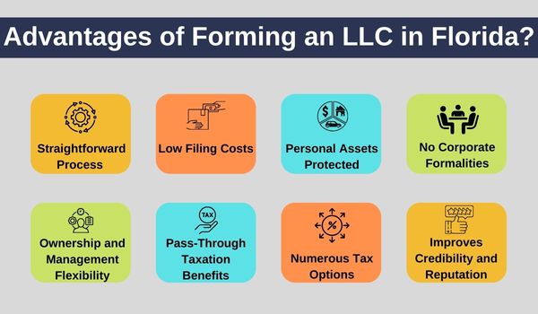 benefits of an llc in florida