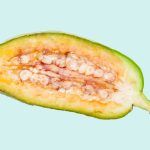The Power of Baobab, Incredible Benefits of this Superfruit benefits of baobab