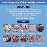 The Power of Beef Organ Supplements, Boost Your Health Naturally benefits of beef organ supplements