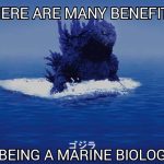 The Hidden Treasures, Enthralling Benefits of Being a Marine benefits of being a marine