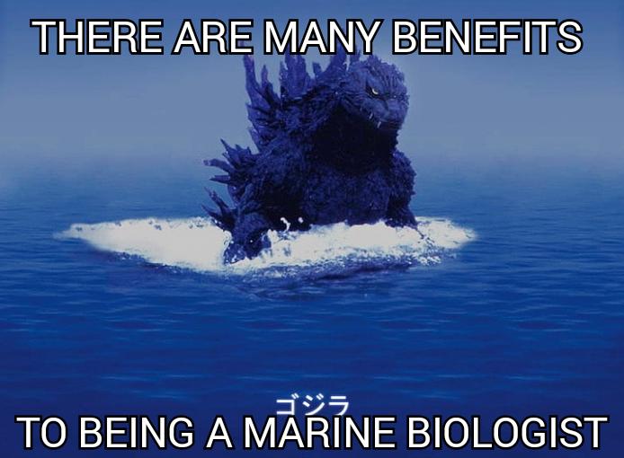 benefits of being a marine