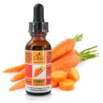Incredible Benefits of Carrot Seed, Enhance Your Health and Beauty benefits of carrot seed