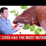 Power of Desiccated Liver, 5 Incredible Benefits You Need to Know benefits of desiccated liver
