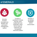 Power of Digital Asset Management, Efficiency, Collaboration, and Growth benefits of digital asset management