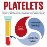 Platelet Donation, A Lifesaving Gift with Incredible Benefits benefits of donating platelets