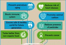 The Power of Organic, Remarkable Benefits of Eating Organic Food benefits of eating organic