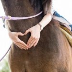 The Healing Power, Benefits of Equine Therapy benefits of equine therapy