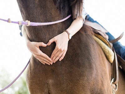 benefits of equine therapy