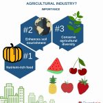 The Abundant Harvest, 7 Remarkable Benefits of Farming benefits of farming