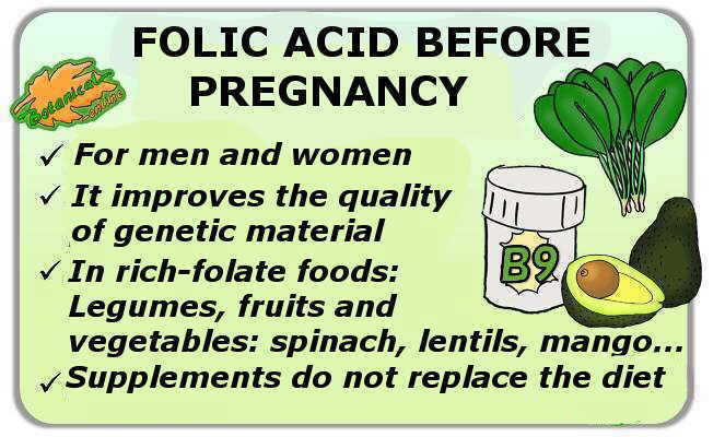 benefits of folic acid in pregnancy