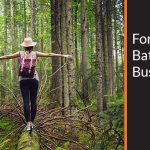 Rejuvenate Your Mind and Body, Incredible Benefits of Forest Bathing benefits of forest bathing