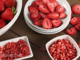 benefits of freeze dried food