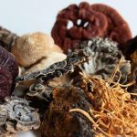 The Magic, Incredible Benefits of Functional Mushrooms benefits of functional mushrooms