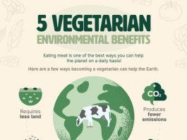 benefits of going vegetarian