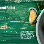 The Incredible Benefits of Green Lipped Mussel, Nature’s Secret to Optimal Health benefits of green lipped mussel