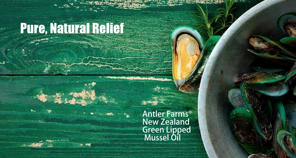 benefits of green lipped mussel