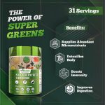 The Power of Green Powder, 7 Incredible Benefits You Can’t Ignore benefits of green powder