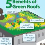 Going Green, the Incredible Benefits of Green Roofs benefits of green roofs