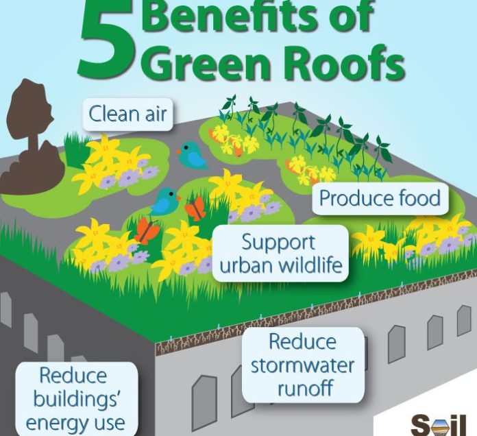 Going Green, the Incredible Benefits of Green Roofs