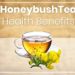 The Sweet Secrets, 7 Incredible Benefits of Honeybush Tea benefits of honeybush tea
